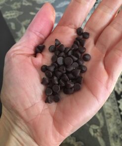 Gerbs Miniature Dark Chocolate Chips, 32 ounce re-closeable bag (semi-sweet), Top 14 Food Allergen Free & NON GMO, Product of Canada Chips - Miniature 2 Pound (Pack of 1) 20 71Z5FbzoqnL