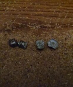 American Classic Multi Pump Pneumatic Pellet Air Pistol 0.22CAL Black 33 71Z7KSH9JIL