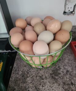 Ware Manufacturing Chicken Egg Basket 1 A 18 71Z8nX2DYdL