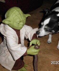 STAR WARS Legendary Jedi Master Yoda, Collector Box Edition 30 71ZBEixsUeL