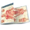 Trigger Points (Quick Study Academic) Pamphlet, Illustrated 13 71ZCEXSkLOL
