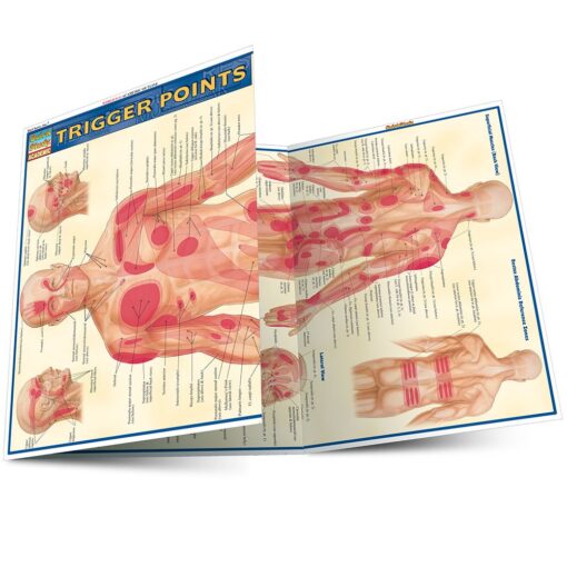 Trigger Points (Quick Study Academic) Pamphlet, Illustrated