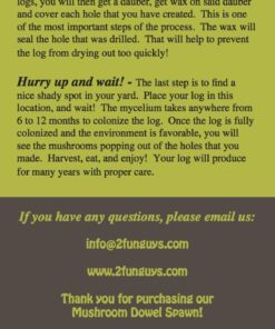 2funguys Shiitake Plug Spawn Starter Kit - Grown Your Own Mushrooms 23 71ZCQYNa1VL