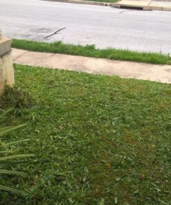 American Lawn Mower Company 1204-14 14-Inch 4-Blade Push Reel Lawn Mower, Red 14-Inch, 4-Blade 48 71ZCgW9SnML