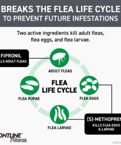 FRONTLINE Plus Flea and Tick Treatment for Cats Over 1.5 lbs., 3 Treatments 3 Doses 25 71ZFmN3p7JL 1