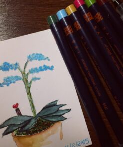 Akashiya CA200/20V Sai Watercolor Brush Pen - 20 Color Set (1, DESIGN 1) 78 71ZGvK4 IrL