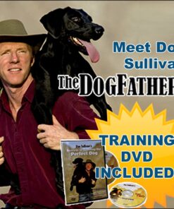 Don Sullivan Perfect Dog Command Collar with Extra Links and DVD, Large blue 16 71ZJKpjuByL