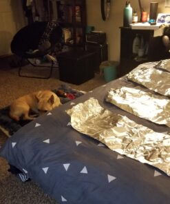 MidWest Homes for Pets Reversible Paw Print Pet Bed in Blue / White, Dog Bed Measures 40L x 26W x 3.5H for Large Dogs, Machine Wash 40.0"L x 26.0"W x 3.5"Th 30 71ZJMEAEDqL