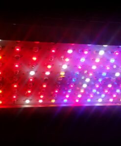 KingLED 2023 Newest 1500w LED Grow Lights with Samsung LM301B LEDs 4 * 4 ft Coverage Full Spectrum Grow Lights for Indoor Hydroponic Plants Greenhouse Growing Lamps Veg Bloom Daul Mode 37 71ZKMxLyc8L