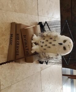 Douglas Legend Snowy Owl Plush Stuffed Animal 28 71ZM4eMbbL