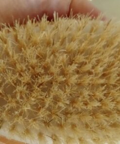 Fantasea Natural Bristle Body Brush 18 71ZMXqRimjL