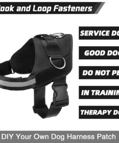 EXPAWLORER Upgraded No Pull Dog Harness with Leash Set - Adjustable Reflective Dog Vest Harness with 3 Drings, Easy Control Handle, Hook and Loop Panel, for Medium Large Dogs Black X-Large 17 71ZN7tbgNxL