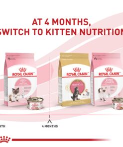 Alternative view of Royal Canin Feline Health Nutrition Mother & Babycat Ultra Soft Mousse in Sauce Canned Cat Food, 3 oz can (24-count) 3 Ounce (Pack of 24)