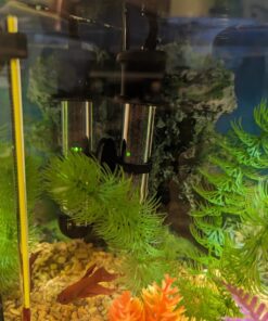 Tetra HT Submersible Aquarium Heater With Electronic Thermostat, 50-Watt, 2-10 Gallon 28 71ZSEfa2XML