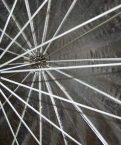 Westcott 4633 7-Feet Silver with Black Cover Parabolic Umbrella 15 71ZV1hiu7L