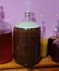 Lalvin EC-1118 Saccharomyces bayanus (10 Packs) 0.17 Ounce (Pack of 10) 17 71ZVNwj6uKL