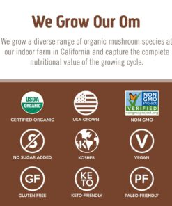 Om Organic Mushroom Superfood Powder, Cordyceps, 100 Servings, Energy and Endurance Support Supplement, 7.05 Ounce (Pack of 1) 7.05 Ounce (Pack of 1) 14 71ZX99QwY1L