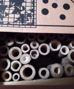 Niteangel Natural Wooden Insect Hotel, Garden Insect House for Ladybugs, lacewings, Butterfly, Bee, Bug 10 x 6 x 3.4 inch Red 37 71ZXE5EvmiL