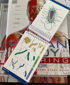 Pocket Anatomy & Physiology Spiral-bound 13 71ZXWm 5iL