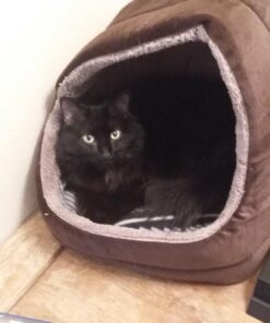 K&H Pet Products Heated Pet Bed Warmer Waterproof Pet Heating Pad for Cat Beds and Dog Beds, Tan Small 41 71ZYzBNyanL