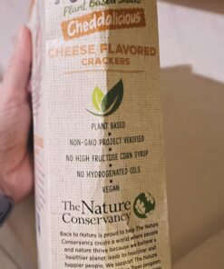 Back to Nature Cheese Flavored Crackers - Non-GMO, Made with Wheat Flour, Vegan, Delicious & Quality Snacks, Cheddalicious, 6 Ounce Cheddar 6 Ounce (Pack of 1) 16 71ZZkTEk6RL