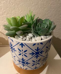 GloFish aquarium Gravel 5 Pounds, White, Complements GloFish Tanks (29022) White Frost 46 71Za4HcEb0L