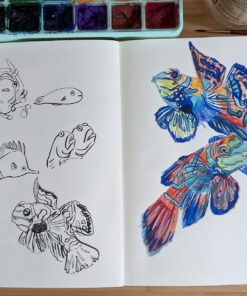 Moleskine Art Sketchbook, Hard Cover, A4 (8.25" x 11.75") Plain/Blank, Black, 96 Pages 31 71ZaLYkmsIL