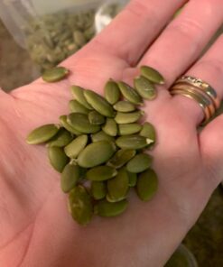 GERBS Raw Pumpkin Seed Kernels 2 LB. Resealable Bag, Top 14 Allergy Free Foods, Healthy Protein & Magnesium Packed Superfood Snack, Non GMO, No Oils, No Preservatives, Gluten & Peanut Free, Vegan, Keto, Kosher, Shelled Pepitas grown in Canada 29 71Zcg1NODtL