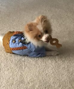 MidWest Homes for Pets Dog Crate Cover, Privacy Dog Crate Cover Fits MidWest Dog Crates, Machine Wash & Dry 24-Inch Black 46 71Zf0I0xyUL