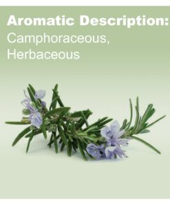 doTERRA Rosemary Essential Oil 15 ml Camphoraceous, Herbaceous 0.51 Fl Oz (Pack of 1) 12 71ZfSROffSL