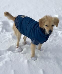 URBEST Dog Shoes with Hook Loop Closure Booties Pet Dog Chihuahua Shoes Boots, 4Pcs (5#, Brown) 5# 27 71Zh1lAkq L