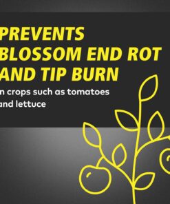 General Hydroponics CALiMAGic 1-0-0, Concentrated Blend Of Calcium & Magnesium, Secondary Nutrient Deficiencies Helps Prevent Blossom End Rot & Tip Burn, Clean, Soluble, 1-Gallon 1 gal 19 71ZhLu zL 3