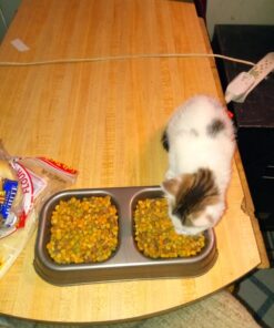 Meow Mix Bistro Recipes Dry Cat Food, Rotisserie Chicken Flavor, 12 Pound Bag 12 Pound (Pack of 1) 34 71ZiO2KgQVL