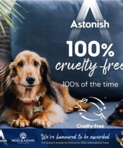 ASTONISH OVEN AND COOKWARE CLEANER - AS SEEN ON TV! 21 71ZiiCaxnQL
