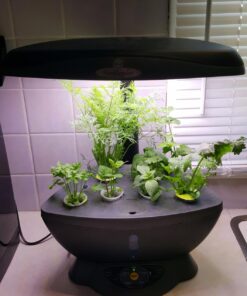 AeroGarden Classic 6 with Gourmet Herb Seed Pod Kit 64 71Zja6enwlL