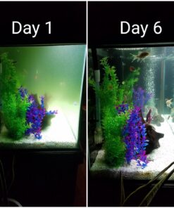 SunSun JUP-01 9W UV Sterilizer Submersible Filter Pump 80 71ZjmXUh9kL