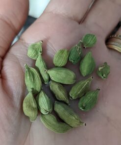 Spicy World Green Cardamom Pods 3.5 Oz - As Seen on Tik Tok - Premium Quality Whole Green Cardamom Pods | Vegan | Large | Aromatic Cardamon 3.5 Ounce (Pack of 1) 40 71Zkam3MlmL