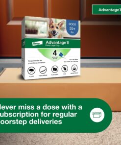 Advantage II XL Dog Vet-Recommended Flea Treatment & Prevention | Dogs Over 55 lbs. | 4-Month Supply 4-Pack 31 71Zn5RHB vL