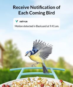 Alternative view of NETVUE Birdfy Lite - Smart Bird Feeder with Camera Solar Powered, Bird Watching Camera Wireless, Auto Capture Bird Videos & Motion Detection, Ideal Gift for Christmas Blue
