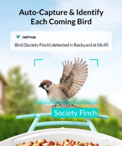 NETVUE Birdfy AI - Smart Bird Feeder with Camera + Solar Panel, Free AI Forever, Auto Capture & Identify 6000+ Bird Species, Bird Videos for Birdwatching, Ideal Gift for Bird Lover Solar Blue 26 71ZoRIUT7iL 5