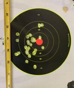 Birchwood Casey Bull's-Eye Reactive Targets - Highly Visible Instant Feedback Self-Adhesive Shooting Targets One Size 60 Targets, 720 Pasters 33 71Zp9jGPUL