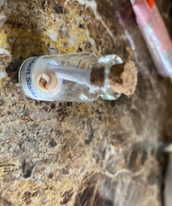 Tiny Miniature Fairy Garden Beach Critter Seashells Marine Life Collection for Art & Craft Project, Outdoor & Indoor Home Decoration, Party Favor, Invitation (4.5oz Bag, 500 Shell) 41 71ZpSY8I86L 1