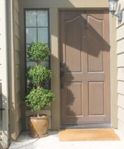 Silk Decor 1 4'TRI Ball Boxwood TOP.(P) GRTT Greenery, 48-in, Two Tone Green 24 71ZrYQz93L