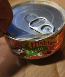 Purina Friskies Wet Cat Food Pate - 5.5 oz. Can Salmon Dinner 5.5 Ounce (Pack of 24) 45 71Zug4WAxIL