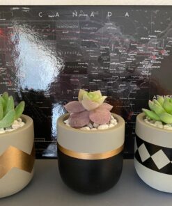 GloFish aquarium Gravel 5 Pounds, White, Complements GloFish Tanks (29022) White Frost 47 71ZwvSemLoL