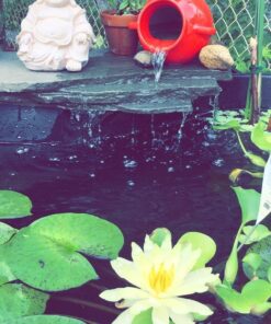 KEDSUM 550GPH Submersible Pump(2500L/H, 40W), Ultra Quiet Water Pump with 5ft High Lift, Fountain Pump with 6.5ft Power Cord, 3 Nozzles for Fish Tank, Pond, Aquarium, Statuary, Hydroponics Blue 39 71Zy50Y8WoL