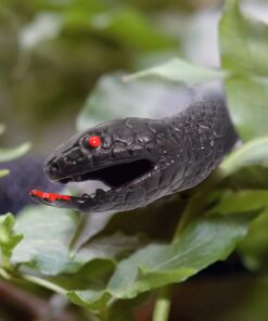 Fun Central 12 Pack - Realistic Rubber Snakes Toys for Garden in Bulk - 22 inches 27 71ZyD6pYa0L