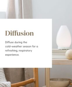 Young Living R.C. Essential Oil 5ml - Invigorating Blend with Eucalyptus, Myrtle, and Pine - 100% Pure, Therapeutic-Grade Essential Oils for Diffusion or Topical Use R.C. 0.17 Fl Oz (Pack of 1) 8 71a1jr9hEeL