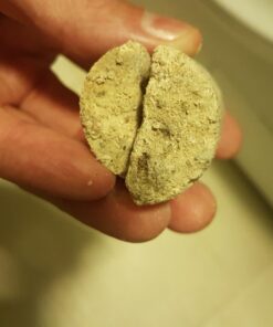 Cobra Products 30500 Cobra 30000 Pipe Auger, for Use with Most Small and Medium Household Drains, 1/2 in X 50 Ft, 50' 18 71a2JKrGhML