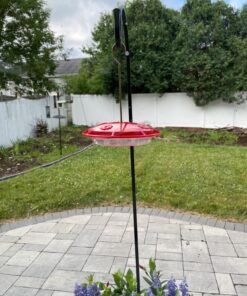 Aspects 367 Hummzinger Ultra Hummingbird Feeder, 12-Ounce,4 Feeding,Red 30 71a2vhYJUZL